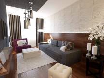 tarsashaz-modern-2014-sas_pict_2